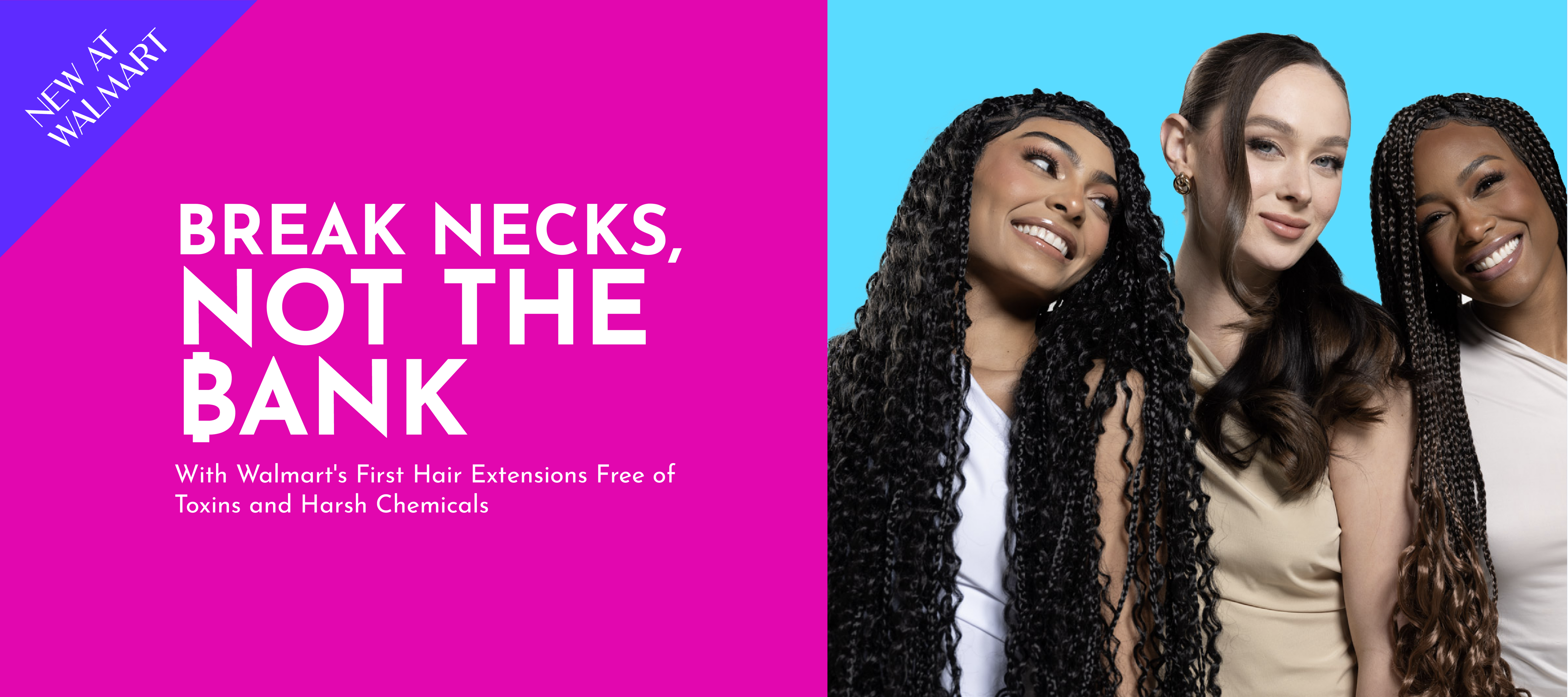 <img src="dog.jpg" alt="Ladies showcasing how good the product look in their hair">
